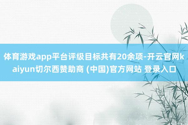 体育游戏app平台评级目标共有20余项-开云官网kaiyun切尔西赞助商 (中国)官方网站 登录入口